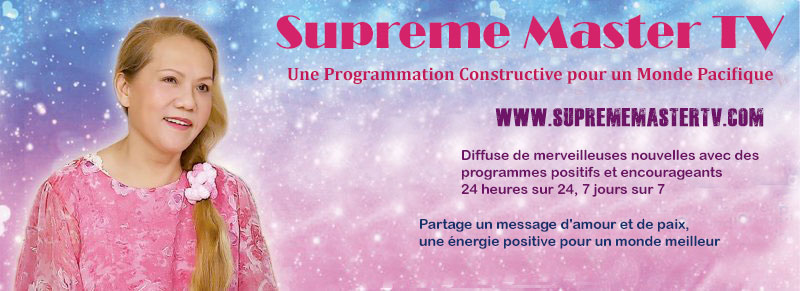 SupremasterTV